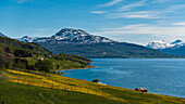spring at Laupstad, Andorja Island, Norway