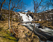 Wassefall im Anderdalen Nationalpark, südlich von Sifjord,  Senja, Norwegen