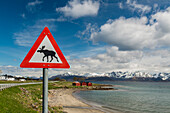 streetsign 'Elk crossing', Vesteralen Islands, Norway