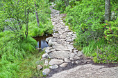 Weg beim Aufstieg zum Preikestolen am Lysefjord, Jørpeland, Rogaland, Fjordnorwegen, Südnorwegen, Norwegen, Skandinavien, Nordeuropa, Europa