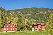Bauernhof bei Vrådal, Telemark, Østlandet, Südnorwegen, Norwegen, Skandinavien, Nordeuropa, Europa