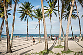 Palmen Allee am Stadtstrand von San Andres, Departamento San Andrés und Providencia, Kolumbien, Karibik, Südamerika