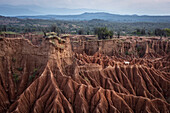 Ziege spaziert durch surreale Landschaft in Tatacoa Wüste (Desierto de la Tatacoa), Gemeinde Villavieja bei Neiva, Departmento Huila, Kolumbien, Südamerika