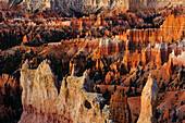 Bryce Canyon, Utah, USA