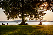 2 Pärchen sitzen unter einem großen Baum auf der Liegewiese im Strandbad Übersee