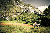 Hiking in Valle de Vinales, UNESCO National Park, Pinar del Rio, Cuba, Caribbean, Latin America, America