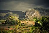 View, Valle de Vinales, UNESCO National Park,  Pinar del Rio, Cuba, Caribbean, Latin America, America
