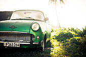 Green vintage car, Cuba, Caribbean, Latin America, America