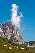 Der Gipfel des Corno Grande überragt die Hochebene Campo Imperatore, Gran Sasso Nationalpark, Abruzzen, Italien
