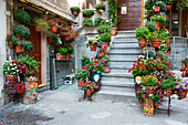 Blumenschmuck in der Altstadt von Pratola, Pratola, Abruzzen, Italien