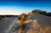 Trail to the beach through dunes in winter, East Frisian Islands, Spiekeroog, Lower Saxony, North Sea, Germany