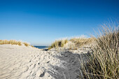 Trail to the beach through dunes in winter, East Frisian Islands, Spiekeroog, Lower Saxony, North Sea, Germany