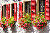 Front with geraniums, old town, Marktbreit, Franconia, Bavaria, Germany