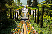 Stairs and flowerbeds with tulips in spring, Mainau Island, Lake Constance, Baden-Württemberg, Germany