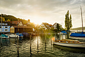 Harbor and sunset, Bodman, Lake Constance, Landkreis Konstanz, Baden-Württemberg, Germany