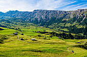 Plateau with Schlern Mountains, Compatsch, Alpe di Siusi, South Tyrol, Italy