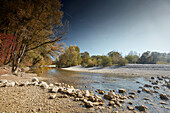 'bavarian Canada' river isar near Hinterriss, river Isar, bavaria, germany