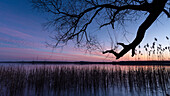 Winter landscape Sunset at the frozen lake in Germany at the blue hour