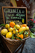 Zitrusfrüchte in einer Gasse, Corniglia, Cinque Terre, UNESCO-Weltkulturerbe, Provinz La Spezia, Ligurien, Italien