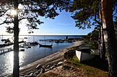 In Käsmu, Lahemaa National Park, Estonia