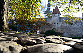 in der unteren Altstadt, Tallinn, Estland