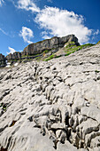 Karst formation at plateau Gottesackerplateau with Hoher Ifen in background, Allgaeu Alps, valley of Walsertal, Vorarlberg, Austria