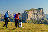 A man and a woman with dog when walking on meadow with Mont Aiguille in the background, from the Tête Chevalier, Vercors, Dauphine, Dauphine, Isère, France