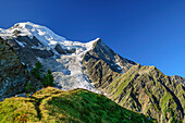 Wiesenrücken mit Mont Blanc im Hintergrund, Pyramide, Mont Blanc, Grajische Alpen, Savoyer Alpen, Haute-Savoie, Frankreich