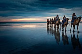 Camel tour ride at Cable Beach, Broome, Kimberley, Western Australia.