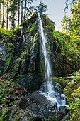 Waterfall. Menzenschwand. Black Forest. Baden Wurttemberg. Germany. Europe