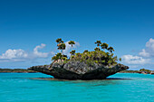 A small triangle-shaped 'mushroom-island' covered with palm trees and bushes stands off a large island in the background, Fulaga Island, Lau Group, Fiji, South Pacific