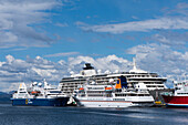 A cluster of cruise ships lie at the pier, including three smaller expedition vessels: the red-and-white MS Expedition (just visible, at right, G Adventures), MS Bremen (white, at right, Hapag-Lloyd Cruises), Ocean Diamond (left, Quark Expeditions), and T