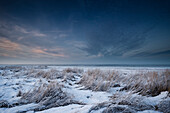 Wattenmeer, Winter, Frost, Schilf, Abenddämmerung, Dangast, Varel, Landkreis Friesland, Niedersachsen, Deutschland, Europa