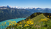 Blick vom Augstmatthorn auf den Brienzer See mit Eiger Mönch und Jungfrau, Alpen, Berner Oberland, Schweiz, Europa