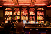 In der The Dail Bar gibt es alle erdenklichen Drinks und zahlreiche Cocktails, wobei die Bar von hinten beleuchtet ist und die alkoholischen Getränke somit besonders auffallen, Galway, County Galway, Irland, Europa