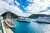 Port, cruise ships, Philipsburg, St. Martin, Caribbean, Lesser Antilles