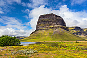 Green summer landscape around Lomagnupur mountain in Iceland, Europe