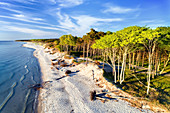 Der Strand der Halbinsel Darss im Sommer, Ostsee, Mecklenburg-Vorpommern, Deutschland, Europa