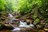 River Ilse in Ilse valley in the Harz mountains, Saxony-Anhalt, Germany, Europe