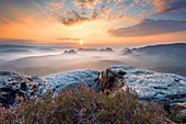 Sonnenaufgang bei Nebel am Kleinen Winterberg,  Sächsische Schweiz, Mittelgebirge, Sachsen,  Deutschland, Europa