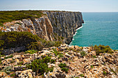 Steep coast near Sagres, Parque Natural do Sudoeste Alentejano e Costa Vicentina, Atlantic Ocean, District Faro, Region of Algarve, Portugal, Europe