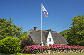 Thatched house in Morsum, North Frisian Island Sylt, North Sea coast, Schleswig-Holstein, Northern Germany, Germany, Europe