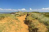 Dunes of Morsumkliff, Morsum, North Frisian Island Sylt, North Sea coast, Schleswig-Holstein, Northern Germany, Germany, Europe