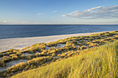 Beach on the peninsula Ellenbogen, List, North Frisian Island Sylt, North Sea coast, Schleswig-Holstein, Northern Germany, Germany, Europe