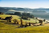 Morgennebel im Herbst, Jostal, bei Neustadt, Schwarzwald, Baden-Württemberg, Deutschland