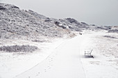 Dune, Path, Park Bench, Snow, Winter, Langeoog, North Sea, East Frisian Islands, East Frisia, Lower Saxony, Germany, Europe