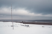 Beach, Snow, Winter, Tree Trunk, People, Langeoog, North Sea, East Frisian Islands, East Frisia, Lower Saxony, Germany, Europe