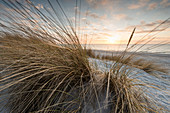 Sonnenuntergang im Meer vor einer Sanddüne, Strandhafer, Weststrand, Fischland-Darß-Zingst, Mecklenburg-Vorpommern, Deutschland, Europa