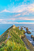 Nugget Point lighthouse at sunset from an elevated view. Ahuriri Flat, Clutha district, Otago region, South Island, New Zealand.