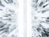 Aerial view of person lying down on road in the icy forest, Pallas-Yllastunturi National Park, Muonio, Lapland, Finland